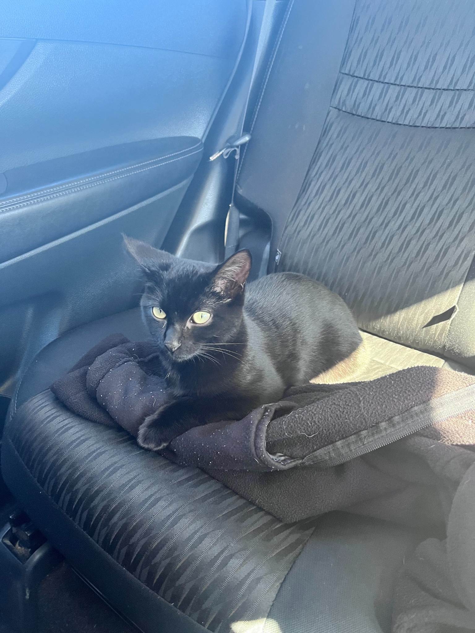 xr:d:DAF1kaIXOm8:3,j:6207496928059113205,t:23112917