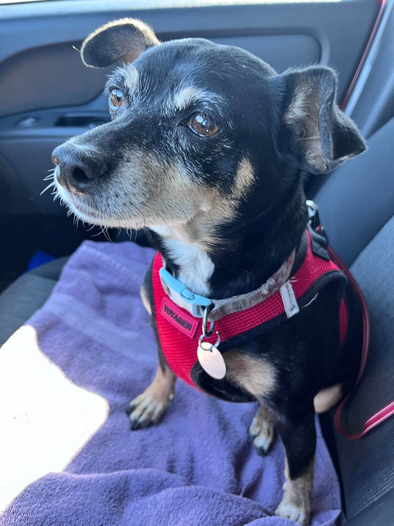 xr:d:DAF1kaIXOm8:3,j:6207496928059113205,t:23112917