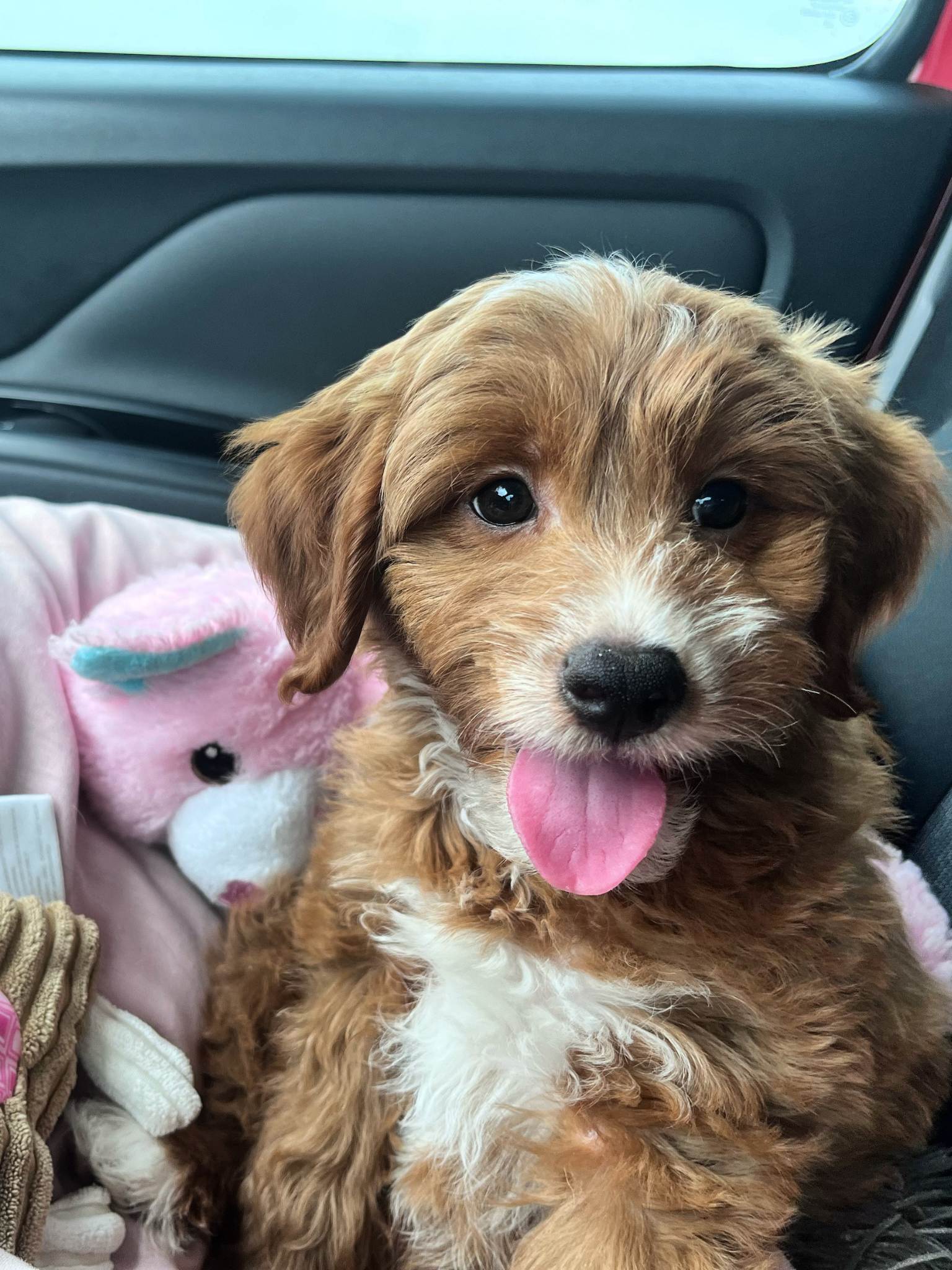 xr:d:DAF1kaIXOm8:3,j:6207496928059113205,t:23112917